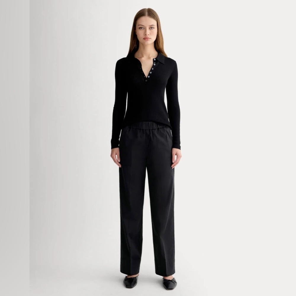 Everlane Black The Easy Straight Leg Chino